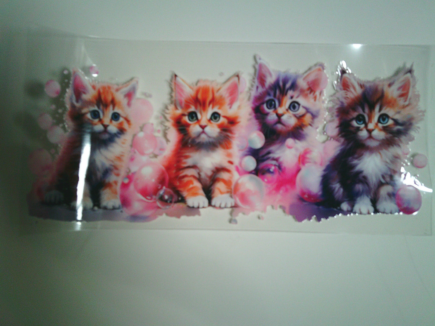Kittens (MUST BE ADDED TO CUP)