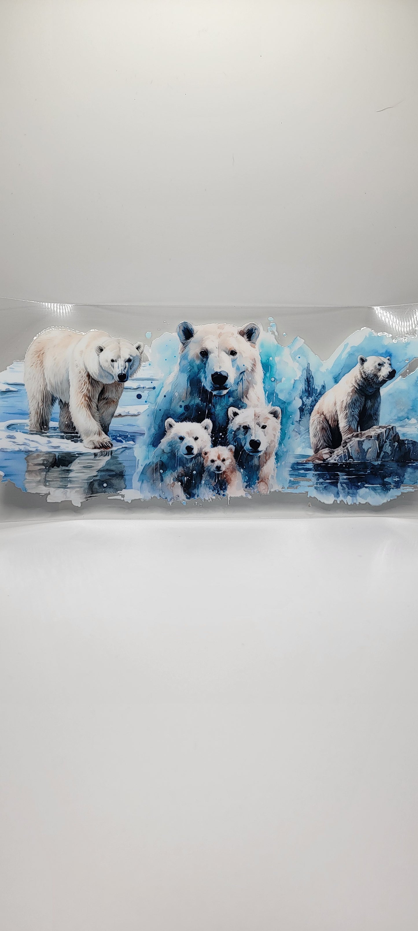 Polar Bears (MUST BE ADDED TO CUP)