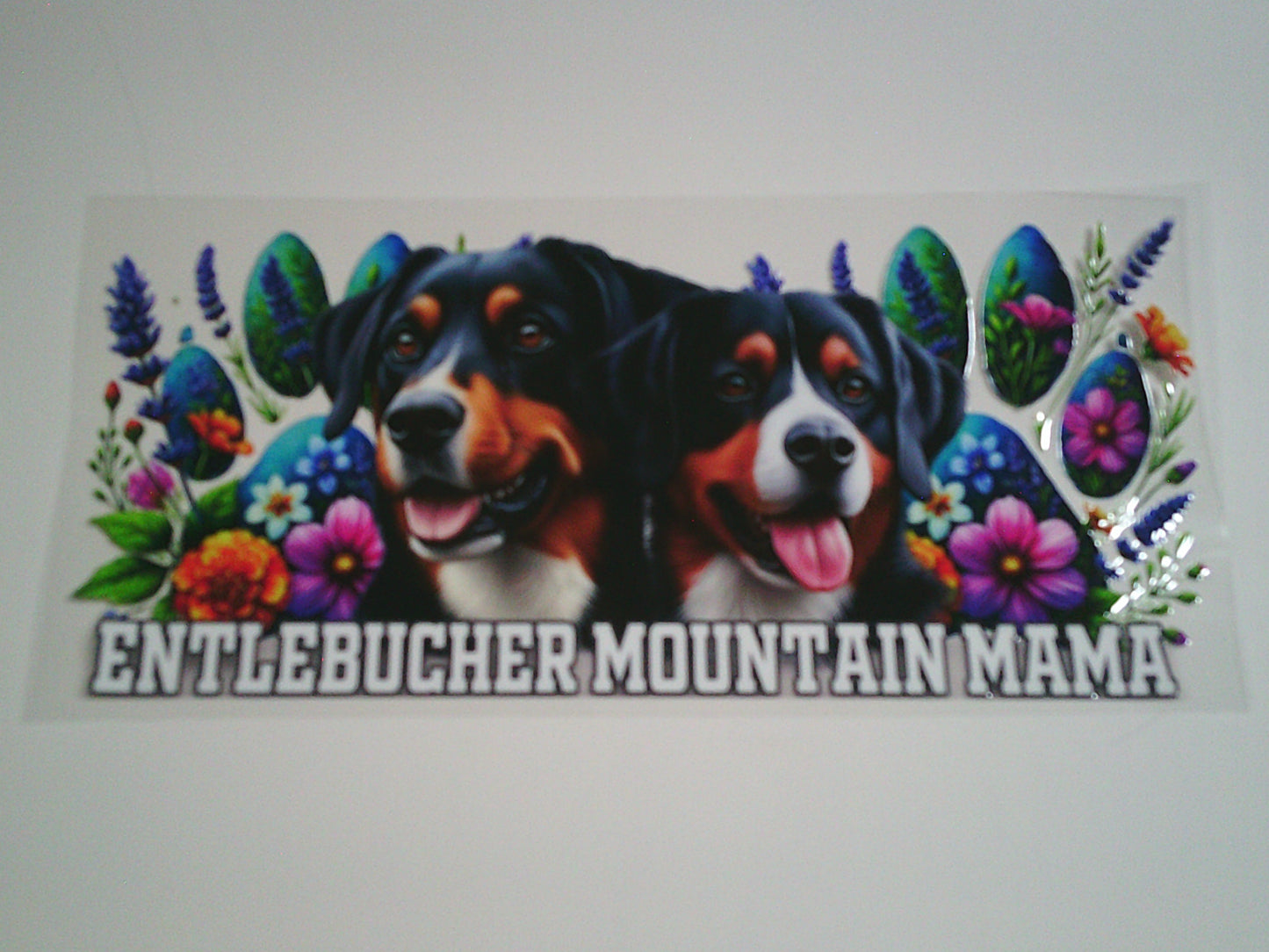 Entlebucher (MUST BE ADDED TO CUP)